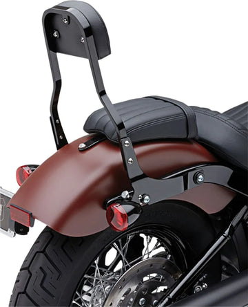 Harley-Davidson Street Bob [COBRA] – avtakbart ryggstøttesett