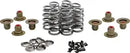 Harley-Davidson FLSB 1750 Softail Sport Glide 107 [2024] - Titanium Ventilfederhalter-Kit – Bild 11