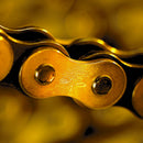 Kawasaki Kx 250 [RENTHAL] - 520 R1 Works kjede 520