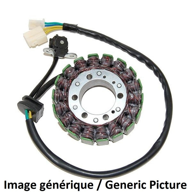 Kawasaki Ninja 300 [ELEKTROSPORT] - Stator - Kawasaki Ninja 300