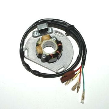 Ktm Sx 200 [ELEKTROSPORT] - Stator - KTM