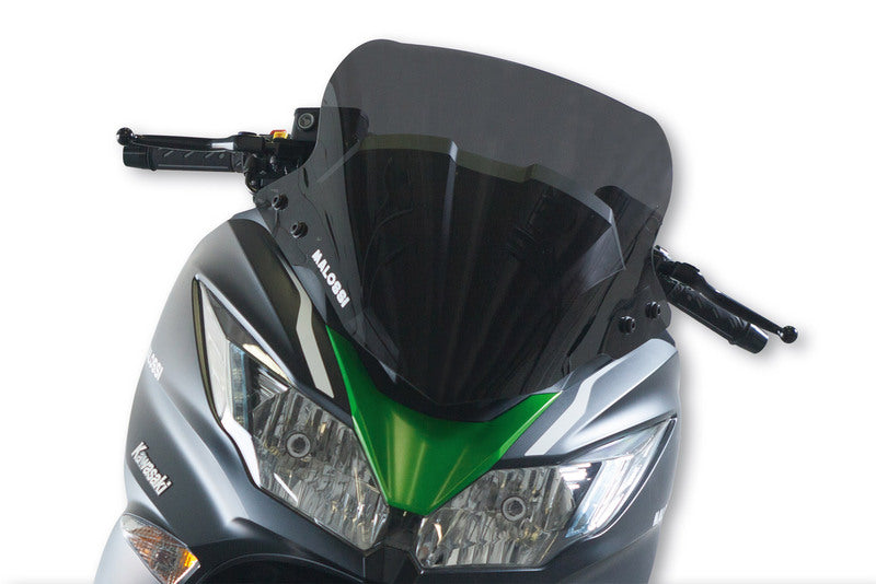 Kawasaki J 125 [MALOSSI] - Sportsfrontrute - Kawasaki J300