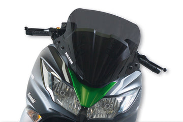 Kawasaki J 125 [MALOSSI] - Sportsfrontrute - Kawasaki J300
