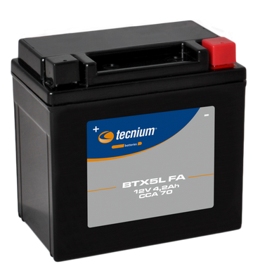 Honda NS 400 R [Tecnium] - Vedlikehold - gratis motorsykkelbatteri