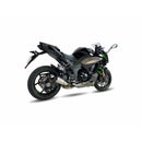 Kawasaki Ninja 1000 [IXIL] - RC lyddemper i rustfritt stål / endestykke karbon - CK7294RC