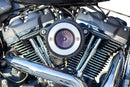 Harley-Davidson FLSB 1750 Softail Sport Glide 107 [2022] - Air Stinger Stealth Luftfiltersatz – Bild 9