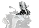 BMW F 900 GS [2025] – sportsskjerm – svart