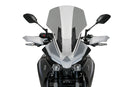 BMW F 900 R [2025] - PUIG turskjerm | Tonet | PUIG 20434H