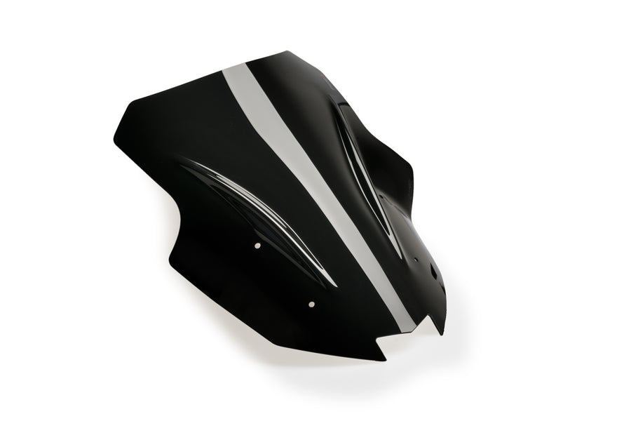 KAWASAKI NINJA 1100 SX SE [2025] – Racingskjerm – Tonet