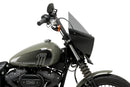 HARLEY DAVIDSON SOFTAIL STREET BOB FXBB [2019] – Mirage – Sterkt tonet-40