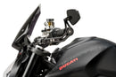 DUCATI PANIGALE V4R [2022] - Clutch- og bremsespakbeskyttelse med bakspeil-20