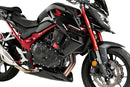 HONDA CB 750 HORNET [2024] – Sidespoiler med naken frontrute-4