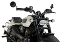 HARLEY DAVIDSON SPORTSTER S RH 1250 S [2024] – Fury – Sterkt tonet-28