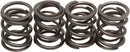 harley davidson flfb [KIBBLEWHITE] – ventilfjærsett-1