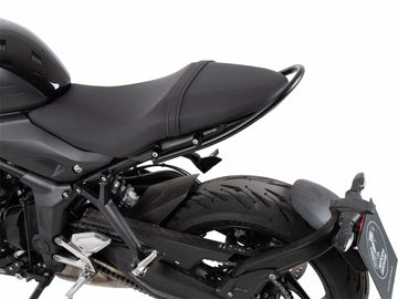 Triumph Trident 660 [2021-2024] - Palaance Holding Concept