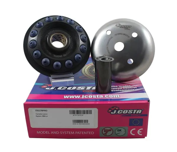 Kymco PEOPLE 300 I GT [2011-2012] - Variator Pro – Bild 2
