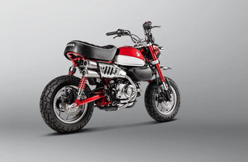 HONDA Z 125 [2019-2025] - Slip-On Line (titan) eksos