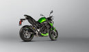 KAWASAKI Z 900 [2020-2024] - Slip-on Line (karbon) eksos