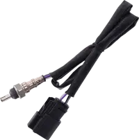 Harley-Davidson Vrscdx 1250 Night Rod Special [2012, 2012-2013, 2015-2017] - 12 mm Lambdasonde – Art.-Nr. 9904 – Bild 11