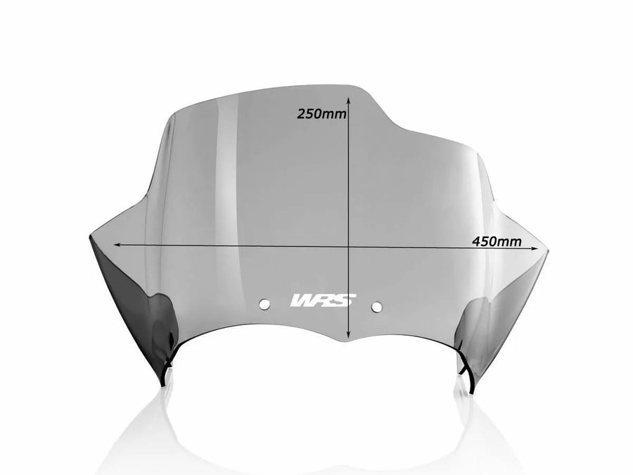 BMW R 1200 GS [WRS] - frontrute