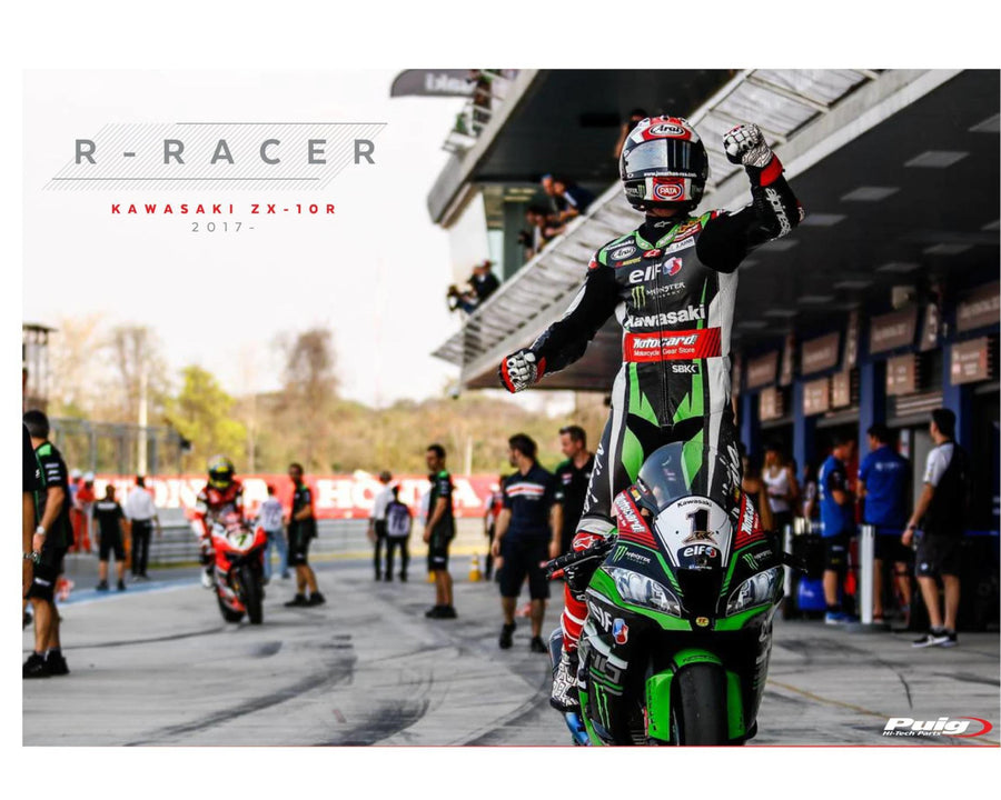 KAWASAKI ZX-10RR NINJA PERFORMANCE [2018] – R-Racer-skjerm – sterkt tonet