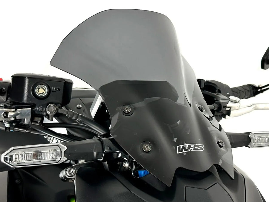 Kawasaki Z 900 [WRS] - frontrute