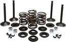 Harley Davidson FX Shovel [KIBBLEWHITE] - Motorventilsett