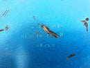 Kawasaki ZRX 1200 S ZRT20A [2003] - Midtdel under forkledning-3