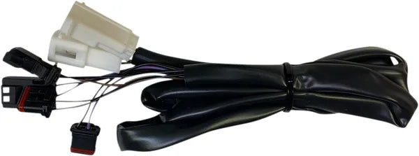 Harley-davidson Road Glide [CUSTOM DYNAMICS] – ProBEAM® Integrerte flate LED-baklykter med ekstra indikatorer