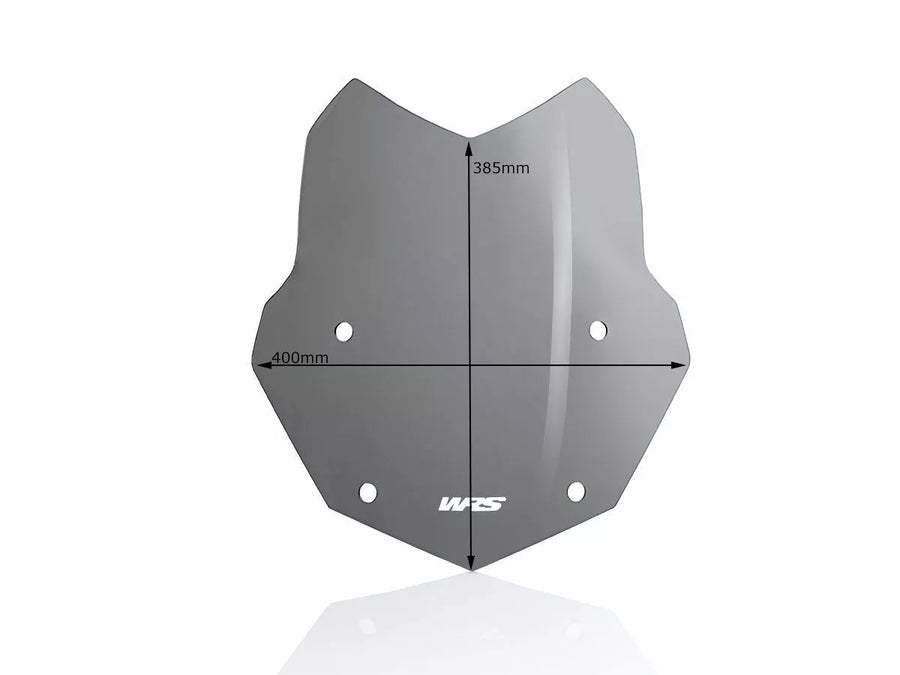 BMW R 1200 GS [WRS] - frontrute
