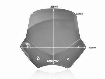 BMW R 1200 R [WRS] - frontrute - 0