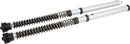 ducati scrambler 1100 [OHLINS] – FKS patronsett-2