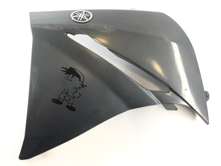 Yamaha XT 660 DM01 [2005] - Clearing Side Clading foran til venstre