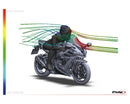 KAWASAKI ZX-10RR NINJA PERFORMANCE [2018] – R-Racer-skjerm – sterkt tonet-13