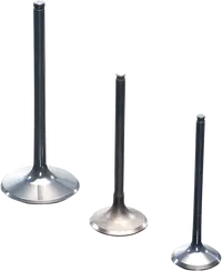 GAS GAS EC 450 [PROX] – Titanium ventil