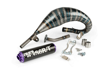 Beta RR-T SM 50 2T - Auspuff R/T 70–80 Schwarz / Lila