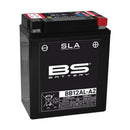 Yamaha XT 600 [BS Battery] - Motorsykkelbatteri-1