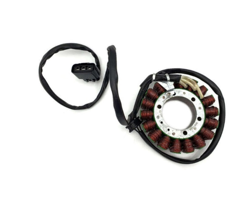 Bmw F 850 Gs [ELEKTROSPORT] - Stator