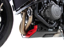 Triumph Tiger Sport 660 [2022-2025] - Motorbeskyttelsesplate-4
