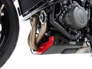 Triumph Trident 660 [2021-2024] - Bugpoiler-3