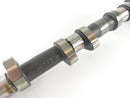 Triumph Sprint 955i RS T695 [2000] - Ncokenwafel Outlet kamaksel-3