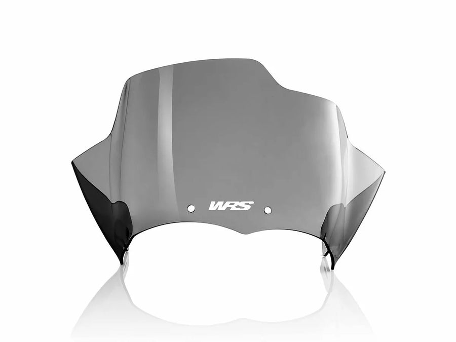 BMW R 1200 R [WRS] - frontrute