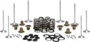 Harley-Davidson FLSB 1750 Softail Sport Glide 107 [2024] - Titanium Ventilfederhalter-Kit – Bild 7