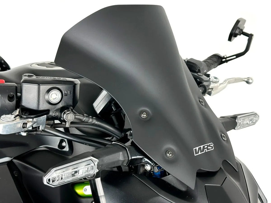 Kawasaki Z 900 [WRS] - frontrute