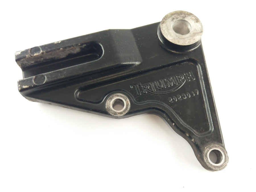 Triumph Bonneville 800 T100 [2004] - Bremseankers ankerplate