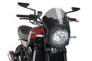 KAWASAKI Z 900 RS SE [2025] – Retro frontrute – sterkt tonet-20