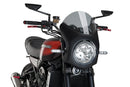 KAWASAKI Z 900 RS SE [2025] – Retro Fairing Screen – Tonet-10