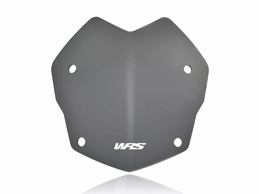 BMW R 1200 R [WRS] - frontrute
