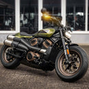 harley-davidson sportster s [HEINZ BIKES] – NANO spotlight-4