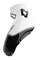 Honda CBR 1100 XX [-2007] -AriotouringsScreen "VTM"-10